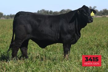 25B